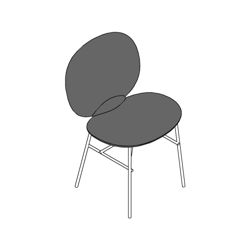Schiena