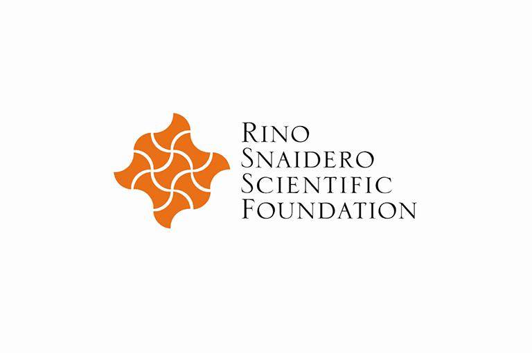 Rino Snaidero Scientific Foundation Annual Conference 